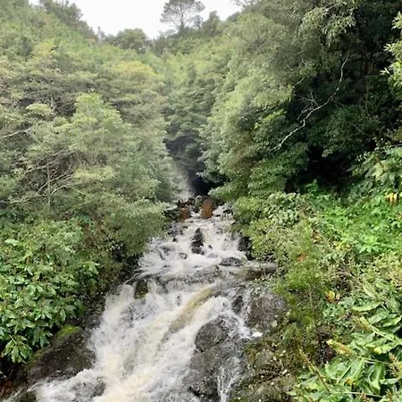 Cantinho Dos Cagarros 拉日什杜皮库