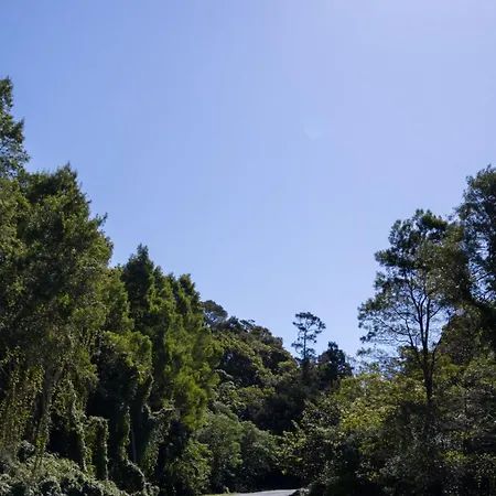 度假居 Cantinho Dos Cagarros 拉日什杜皮库