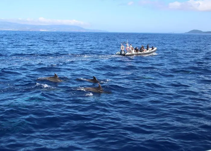 بيت للعطل Cantinho Dos Cagarros *