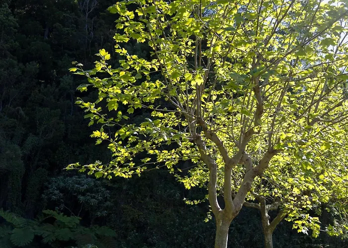 بيت للعطل Cantinho Dos Cagarros