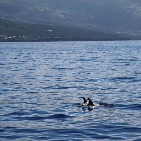 Cantinho Dos Cagarros 別荘 *