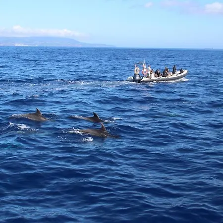 別荘 Cantinho Dos Cagarros *