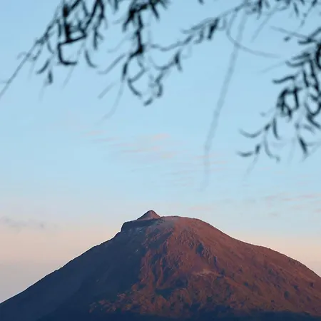 別荘 Cantinho Dos Cagarros ラジェス・ド・ピコ
