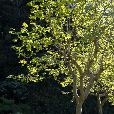 別荘 Cantinho Dos Cagarros