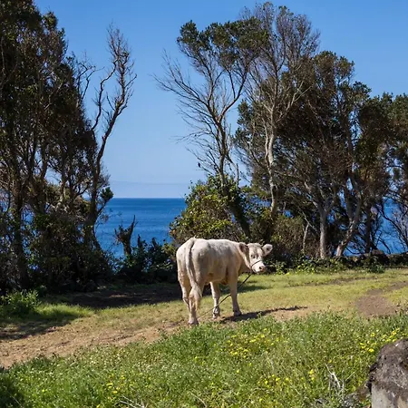 別荘 Cantinho Dos Cagarros ラジェス・ド・ピコ
