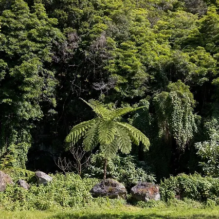 Cantinho Dos Cagarros