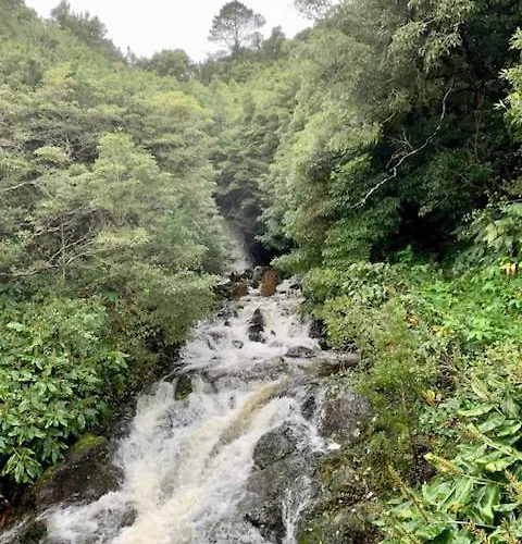 Cantinho Dos Cagarros Lajes do Pico