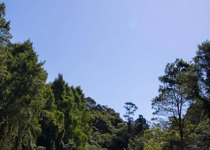 Сasa de vacaciones Cantinho Dos Cagarros Lajes do Pico