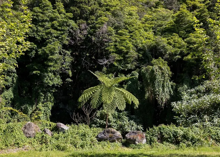 Cantinho Dos Cagarros